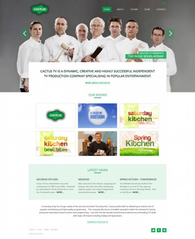 cactus tv website design 2